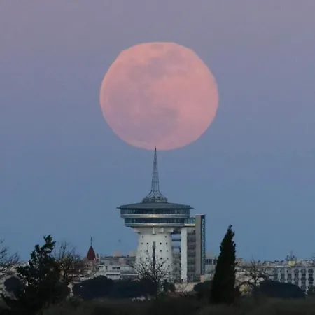 Les Flots Vue 아파트